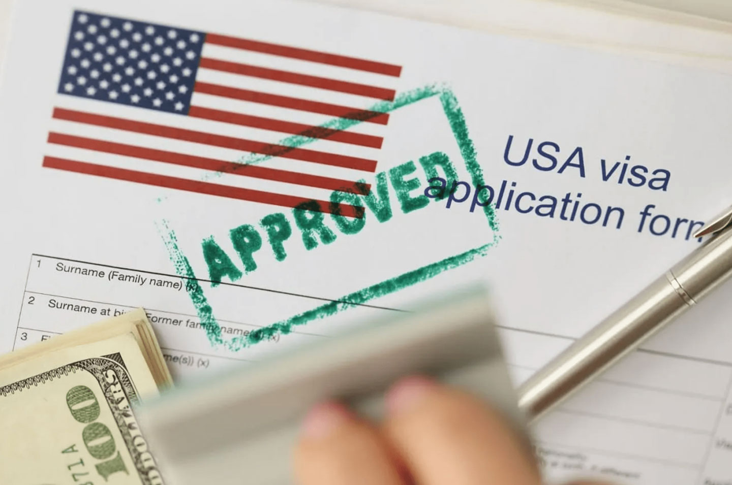 Approved US Visa